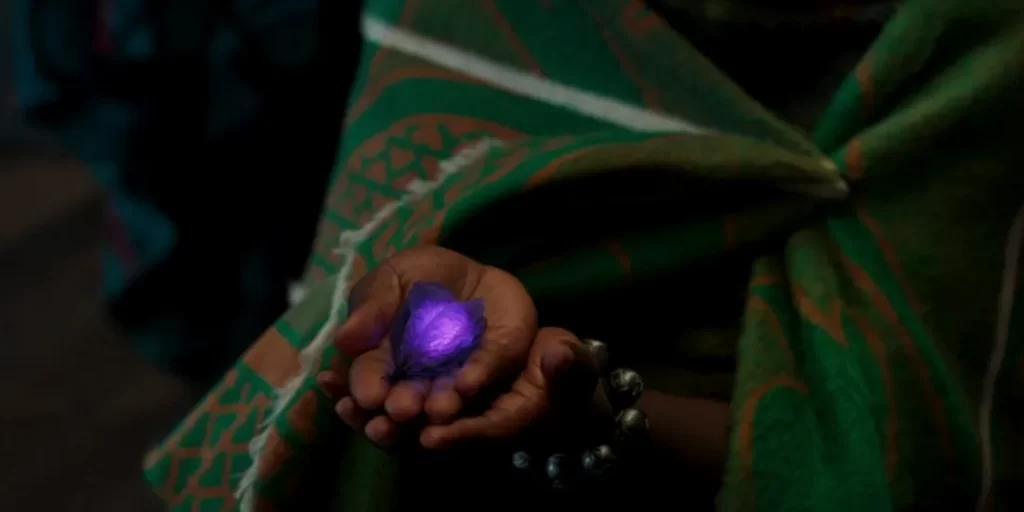 A criacao de outra erva em forma de coracao A criação de outra erva em forma de coração