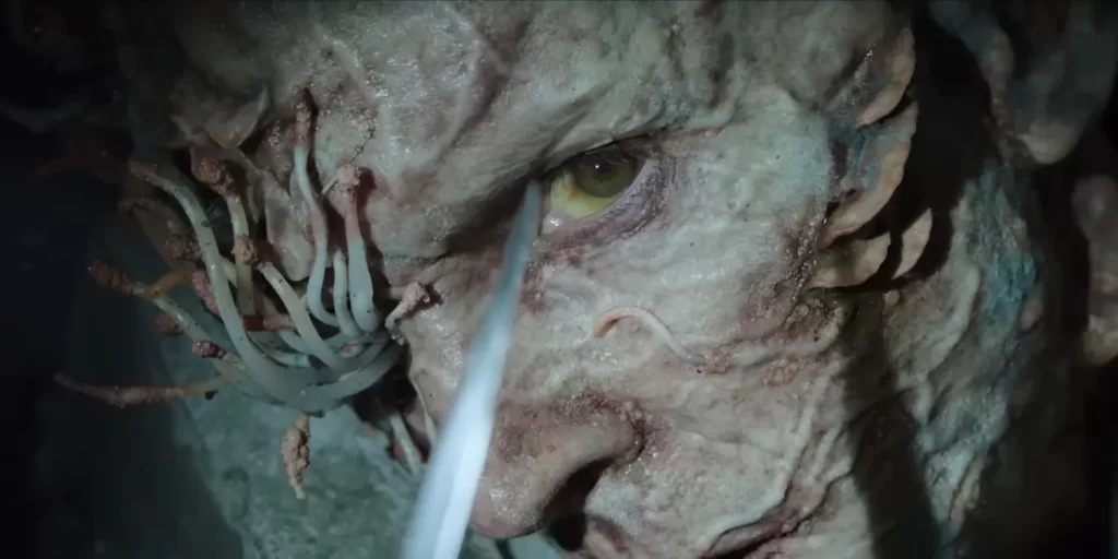 Infeccao por fungos Cordyceps explicada Infecção por fungos Cordyceps explicada