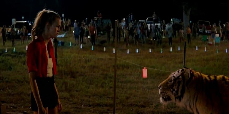 Panic season 1 tiger Panic: As maiores perguntas sem resposta da 1ª temporada da Série da Amazon