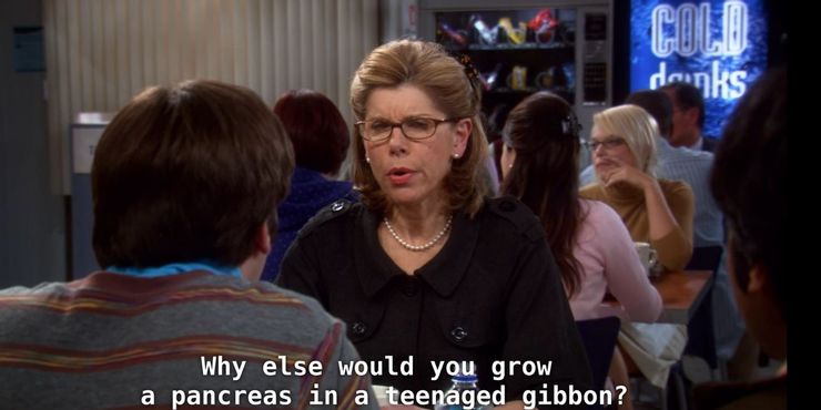 Quando Beverly Vem Visitar Quando Beverly Vem Visitar