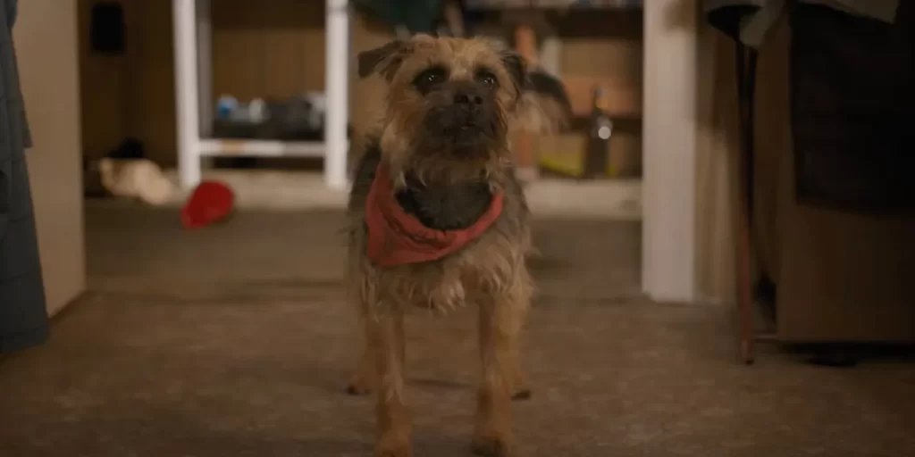 Os filmes mais esperados de 2023 Ruim Pra Cachorro 1024x512