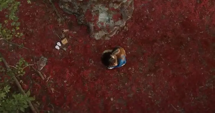 fear street 1666 Rua Do Medo, parte 3: o musgo de Shadyside tem uma origem trágica