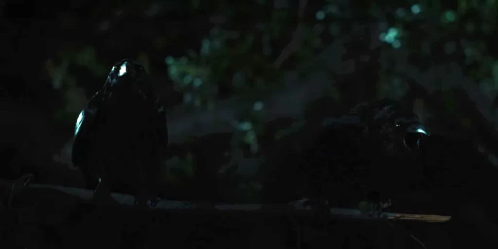 final treta final treta