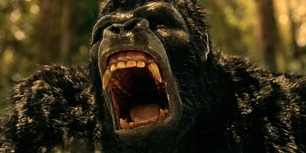 gorilla-grodd