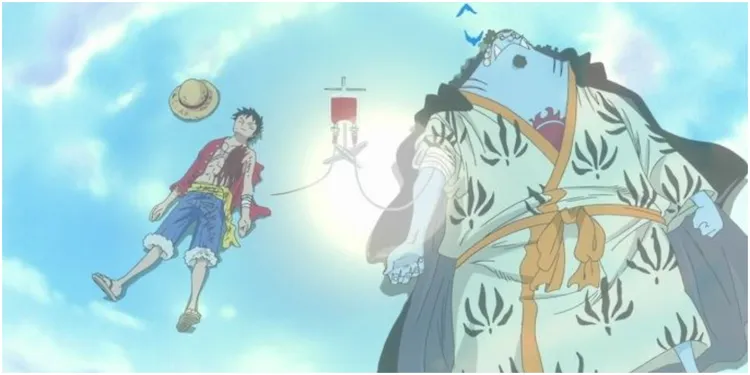 jinbe one piece jinbe one piece