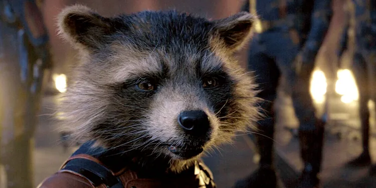 rocket in guardians of the galaxy vol 3 rocket-in-guardians-of-the-galaxy-vol-3
