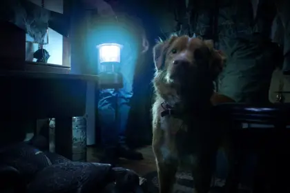 O cachorro de Good Boy morre no filme?