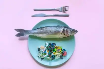 Como Evitar Microplásticos em 8 Alimentos Comuns e Proteger Sua Saúde