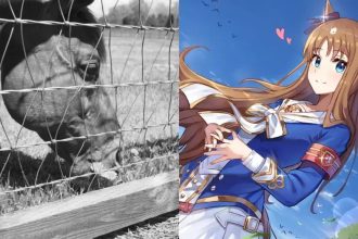 Grass Wonder, o icônico cavalo que inspirou Umamusume, falece aos 30 anos