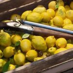 Mafia: The Old Country está prestes a ser lançado – tudo que você precisa saber