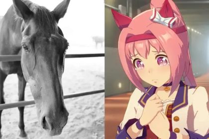 Morre Haru Urara, a Égua Que Inspirou Personagem de Uma Musume