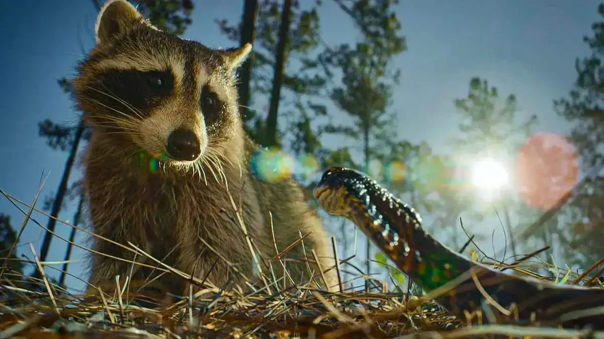 Nightmares of Nature: A Nova Aposta de Terror da Netflix