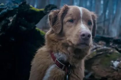 Prepare-se para o impacto: Good Boy é o filme de terror do ano!