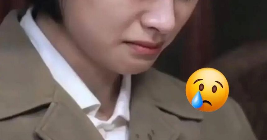 Shen Yue emociona fãs em seu primeiro encontro na Malásia