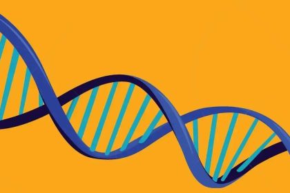 AncestryDNA: Descubra por que é o melhor kit de DNA caseiro em 2025