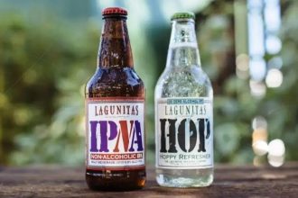 Descubra as melhores bebidas não alcoólicas para renovar seus brindes em 2026