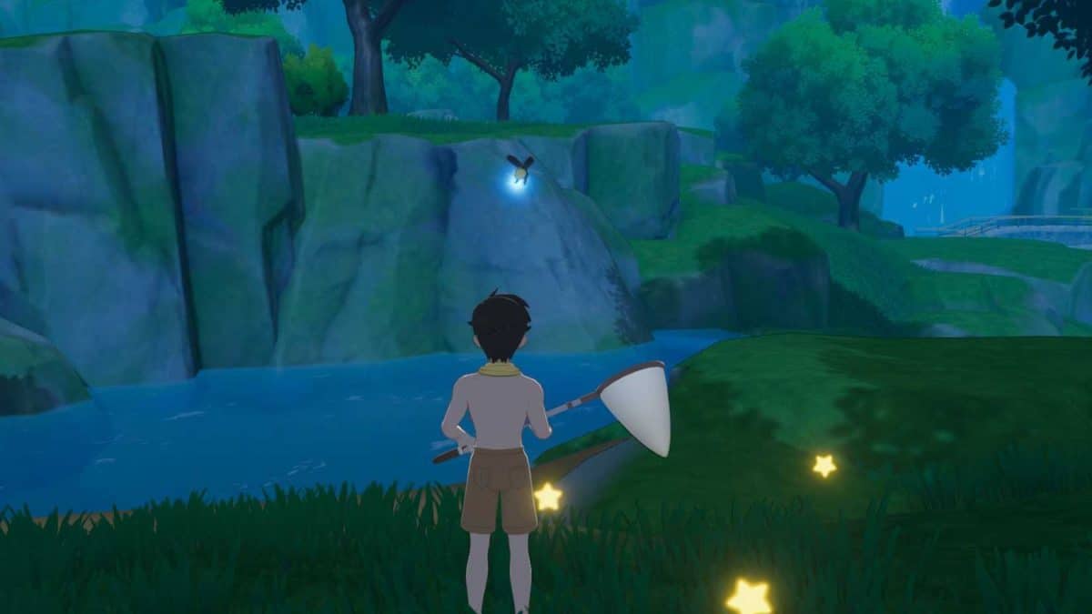 all insect locations starsand island