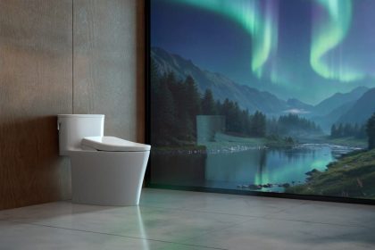 Aurora Washlet Plus