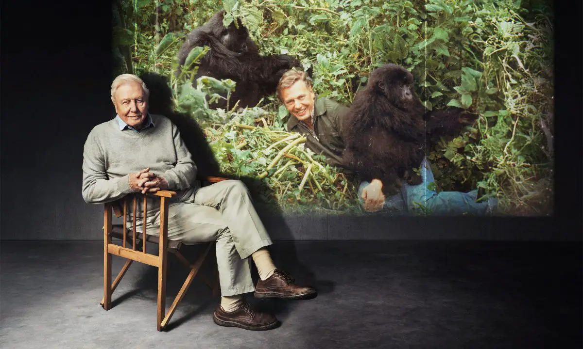 David Attenborough