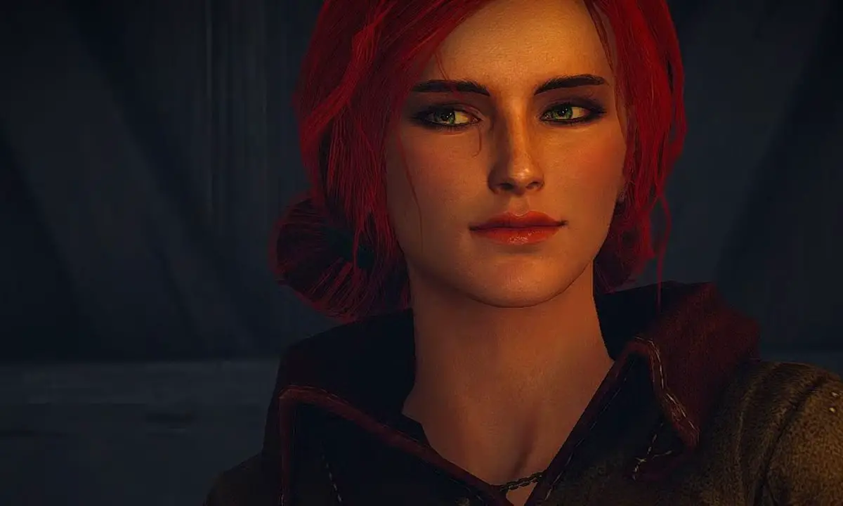 Doug Cockle romance Witcher 3