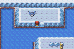 Pokémon FireRed & LeafGreen