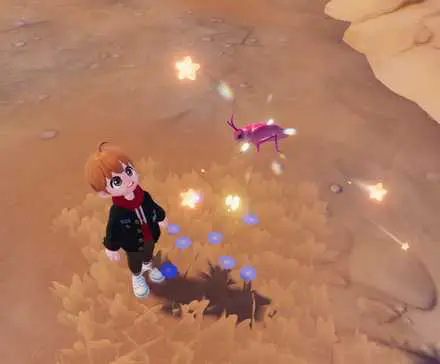 Where to Catch Pink Katydid in Heartopia