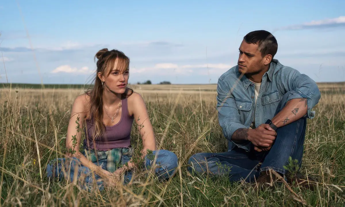 Adaptações de Colleen Hoover