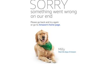 Amazon instabilidade