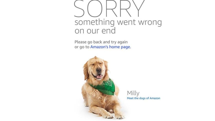 Amazon instabilidade