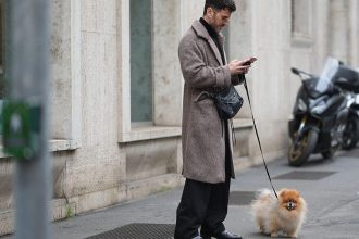 chatbot Fi Intelligence