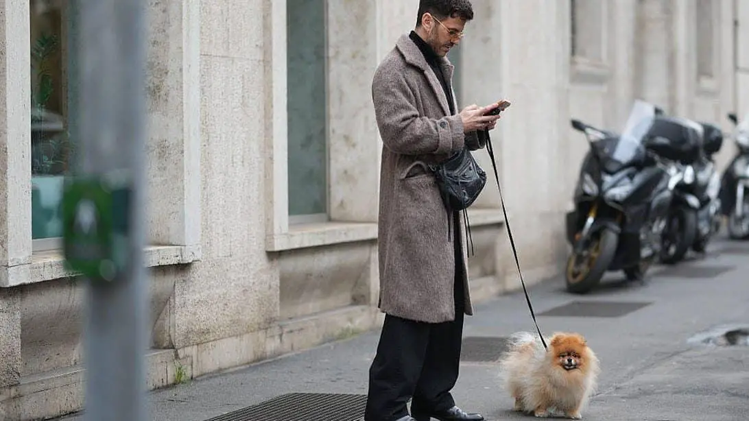 chatbot Fi Intelligence