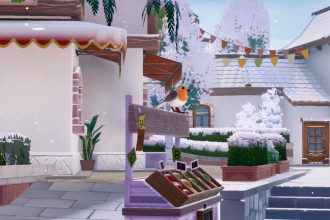 observação de pássaros