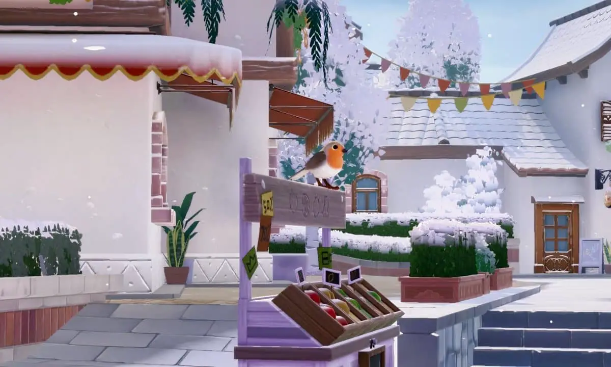 observação de pássaros