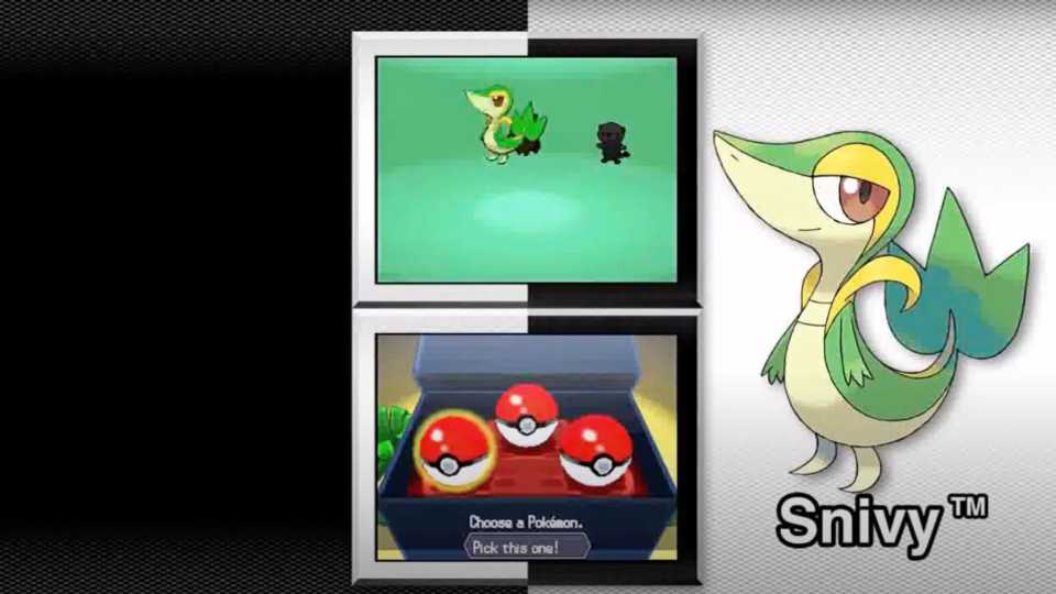 pokemon-black-and-white-in-game-screenshot-2.jpg