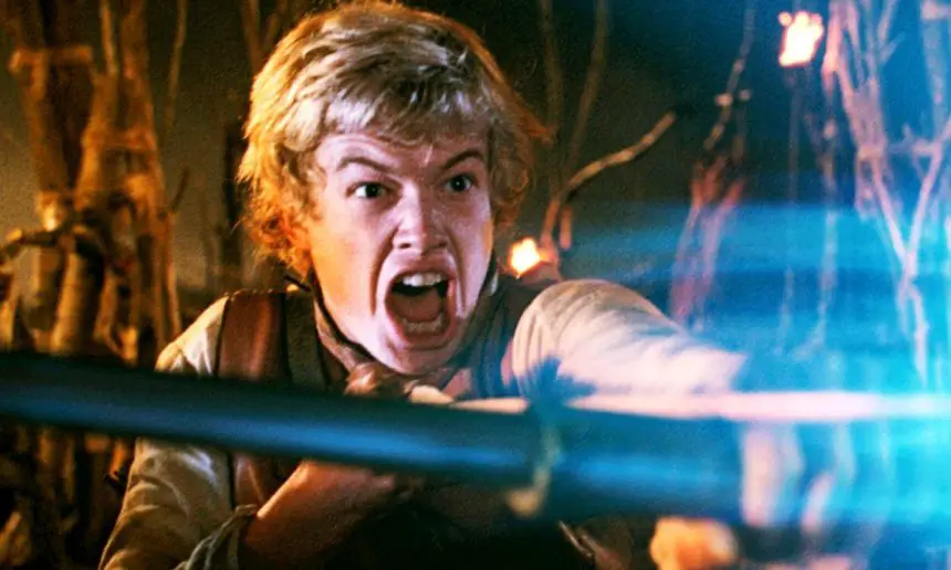 série de fantasia Disney