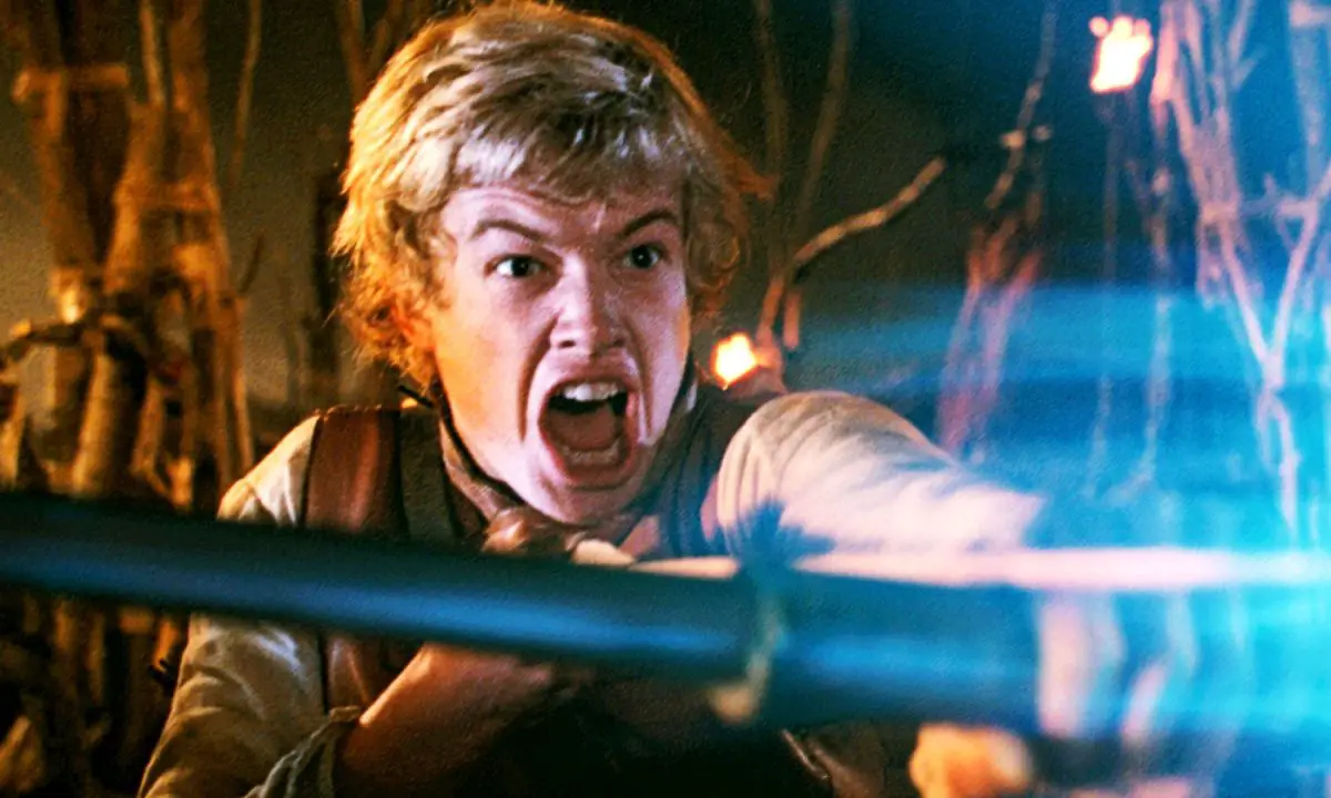 série de fantasia Disney