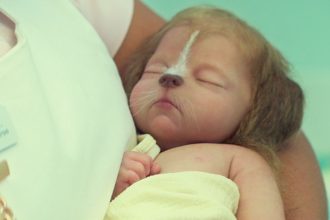 série pós-apocalíptica