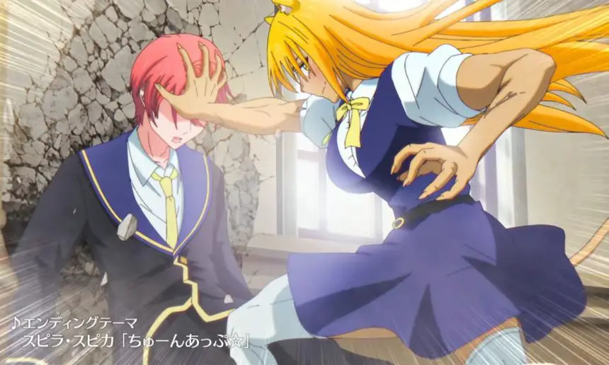 The Classroom of a Black Cat and a Witch