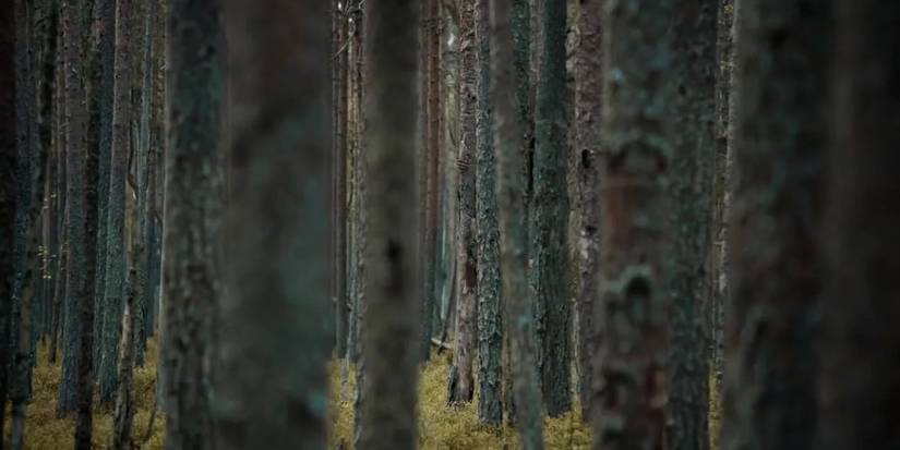 A Mythological Monster Hides Among the Trees Creating Claustrophobia in Netflix’s the Ritual.