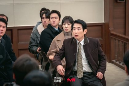 Undercover Miss Hong