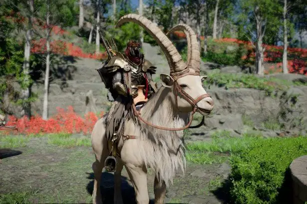 Icicle Edge Alpine Ibex