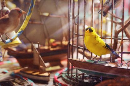 Projeto Alarme Aviário: Missão Inovadora em Arc Raiders - Projeto Alarme Aviário