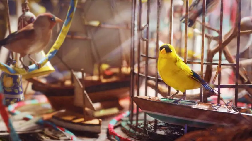 Projeto Alarme Aviário: Missão Inovadora em Arc Raiders - Projeto Alarme Aviário