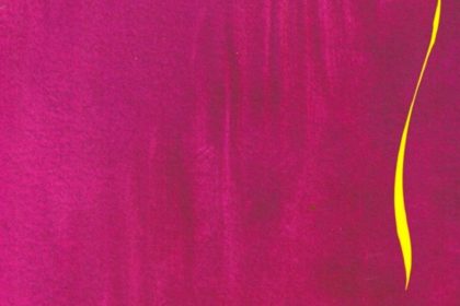 Capa do livro Entrelaços de Juliana Araripe