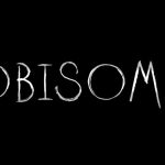 Capa do filme Lobisomem dirigido por Robert Eggers