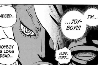 One Piece Joy Boy e Luffy