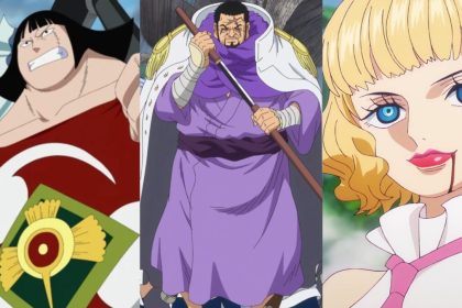 One Piece: Novos Recrutas Fortalecem Exército Revolucionário - Exército Revolucionário