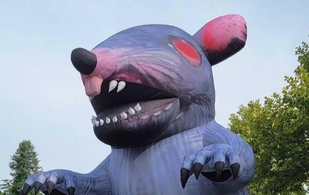 Protesto com Rato Inflável na Bethesda Contra Demissões - protesto Bethesda