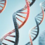 Anthropic Inova com IA e Biologia Úmida: Cura à Vista? - Anthropic