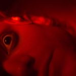 Clayface: O Horror Psicológico que Redefine Vilões - Clayface